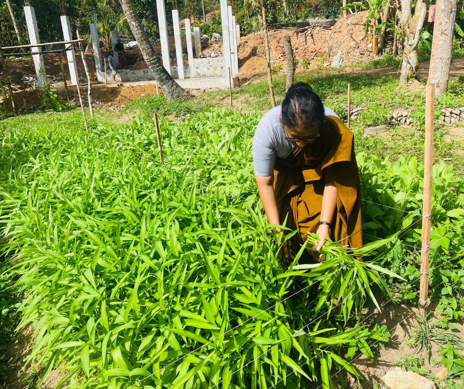 Empowering Local Women